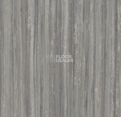 Линолеум Forbo Marmoleum Decibel on Order 525035 blue basalt фото 1 | FLOORDEALER