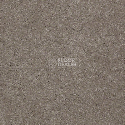 Ковролин Shaw Design Texture Platinum 722 фото 1 | FLOORDEALER