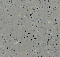 Forbo SafeStep R11 174922 concrete фото 4 | FLOORDEALER