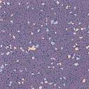 Линолеум Polysafe Astral Pur 4230  | FLOORDEALER