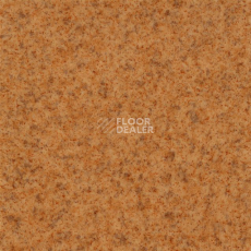 Линолеум Grabo Terrana Top Extra 4546-263 фото 1 | FLOORDEALER