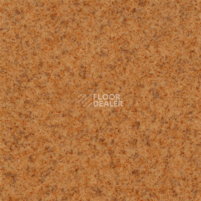 Линолеум Grabo Terrana Top Extra 4546-263 фото 1 | FLOORDEALER