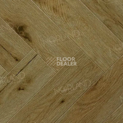 Ламинат Norland Herringbone Elegant 8мм LF303-14 Дуб Скай фото 1 | FLOORDEALER