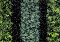 Forbo Coral Duo 9708 Green Bellagio фото 2 | FLOORDEALER