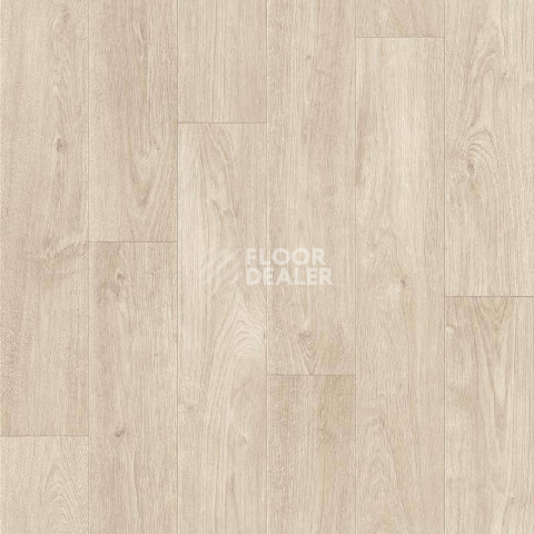 Линолеум Tarkett Grand EDVARD 1 фото 1 | FLOORDEALER