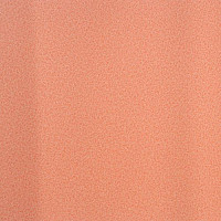 Линолеум Lg Calmpasso CP 93504 фото 1 | FLOORDEALER