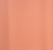 Линолеум Lg Calmpasso CP 93504 фото 1 | FLOORDEALER