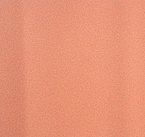 Линолеум Lg Calmpasso CP 93504 фото 1 | FLOORDEALER