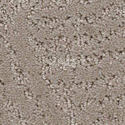 Ковролин Balsan Courchevel 710 фото 1 | FLOORDEALER