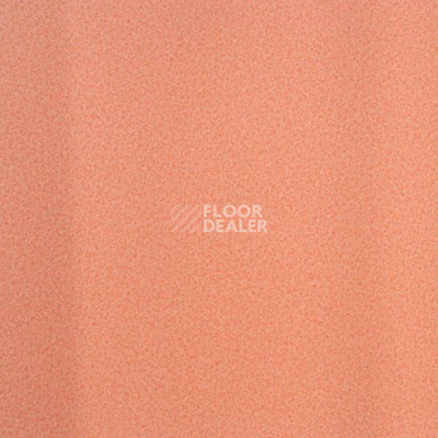 Линолеум Lg Calmpasso CP 93504 фото 1 | FLOORDEALER