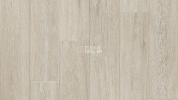 Линолеум Tarkett Craft Domingo 1 фото 1 | FLOORDEALER