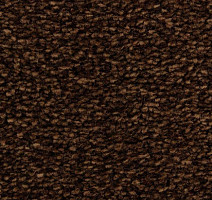 Ковролин Edel Wild Romance 153 фото 1 | FLOORDEALER