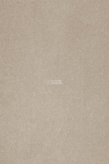 AW Masquerade Varuna 39 фото 1 | FLOORDEALER