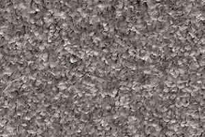 Ковролин AW Gaia Meridia 95 фото  | FLOORDEALER