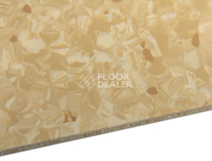 Tarkett Primo Plus 304 фото 4 | FLOORDEALER