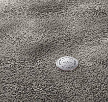 Ковролин Vorwerk Superior 1067 Mira Vorwerk 5x98 фото 1 | FLOORDEALER