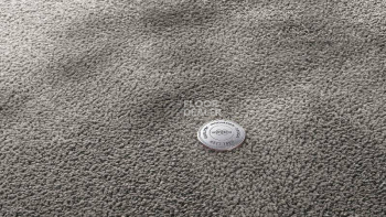 Ковролин Vorwerk Superior 1067 Mira Vorwerk 5x98 фото 1 | FLOORDEALER