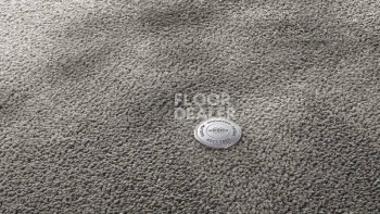 Ковролин Vorwerk Superior 1067 Mira Vorwerk 5x98 фото 1 | FLOORDEALER