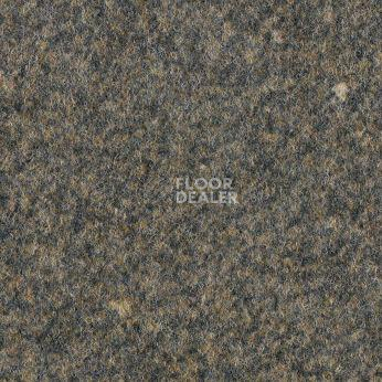 Ковролин Forbo Forte Graphic Reef 97004 фото 1 | FLOORDEALER