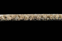 Desso Essence Pure ad 07 1510 фото 4 | FLOORDEALER