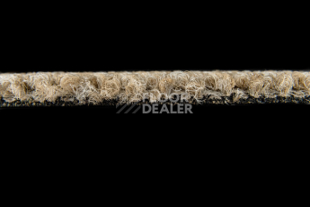 Desso Essence Pure ad 07 1510 фото 4 | FLOORDEALER