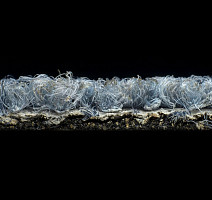 Desso Grain 8833 фото 4 | FLOORDEALER