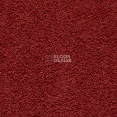 Ковролин Balta ITC Famoso 37 фото 1 | FLOORDEALER