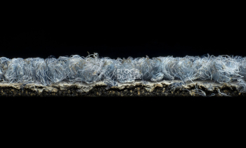 Desso Grain 8833 фото 4 | FLOORDEALER