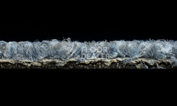 Desso Grain 8833 фото 4 | FLOORDEALER