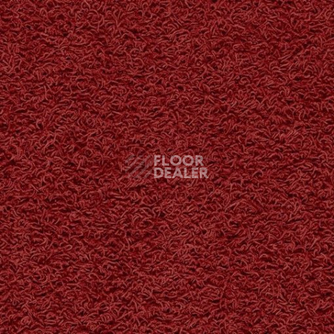 Ковролин Balta ITC Famoso 37 фото 1 | FLOORDEALER