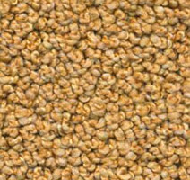 Ковролин Dura Oriental 314 фото 1 | FLOORDEALER