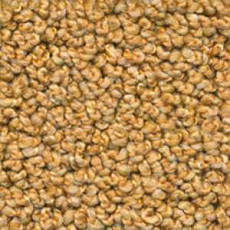 Ковролин Dura Oriental 314 фото 1 | FLOORDEALER