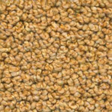 Dura Oriental 314 фото 1 | FLOORDEALER