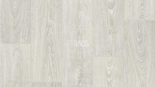 Линолеум Tarkett Aero David 1 фото 1 | FLOORDEALER