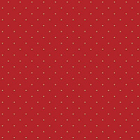 Ковролин Big Carus SE 008-21 a 01 фото 1 | FLOORDEALER