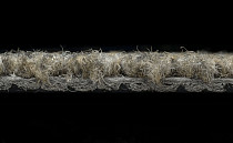 Tessera Chroma 3610 Thatch фото 4 | FLOORDEALER