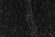 Flotex Colour embossed tiles to 546908 Metro Anthracite Organic Embossed фото 2 | FLOORDEALER