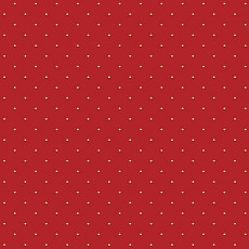 Ковролин Big Carus SE 008-21 a 01 фото 1 | FLOORDEALER