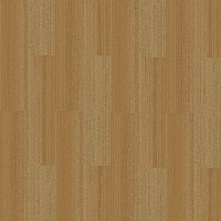 Ковровая плитка Interface Walk the Plank 300312 фото 1 | FLOORDEALER