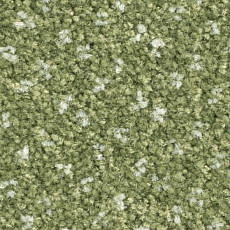 Ковролин Balsan Capitol Capitol 240 фото 1 | FLOORDEALER