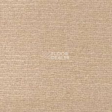 Ковролин Radici Maratea 4953 фото 1 | FLOORDEALER