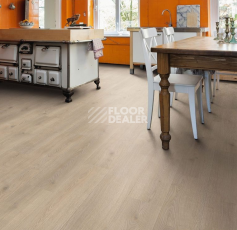 Haro Tritty 100 Campus 4V Дуб Контура Каменно-Серый 532066 фото 3 | FLOORDEALER