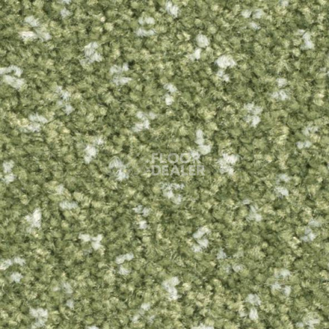 Ковролин Balsan Capitol Capitol 240 фото 1 | FLOORDEALER