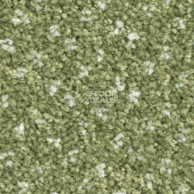 Ковролин Balsan Capitol Capitol 240 фото 1 | FLOORDEALER