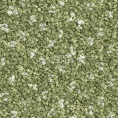 Ковролин Balsan Capitol Capitol 240 фото 1 | FLOORDEALER
