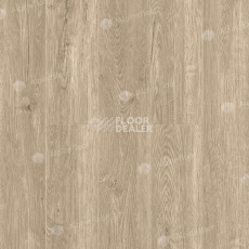 Кварцвиниловые полы Alpine Floor Sequoia (LVT) Секвойя Коньячная ЕСО 6-2 LVT фото 1 | FLOORDEALER