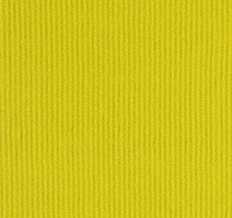 Ковролин Tapibel Ascot 35118 фото 1 | FLOORDEALER