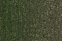 Ковровая плитка Desso Fuse 7842 фото 1 | FLOORDEALER