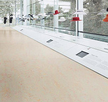 Forbo Marmoleum Decibel on Order 343235 fruit punch фото 3 | FLOORDEALER