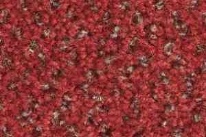 Ковролин Balsan Tango Tango 570 фото  | FLOORDEALER